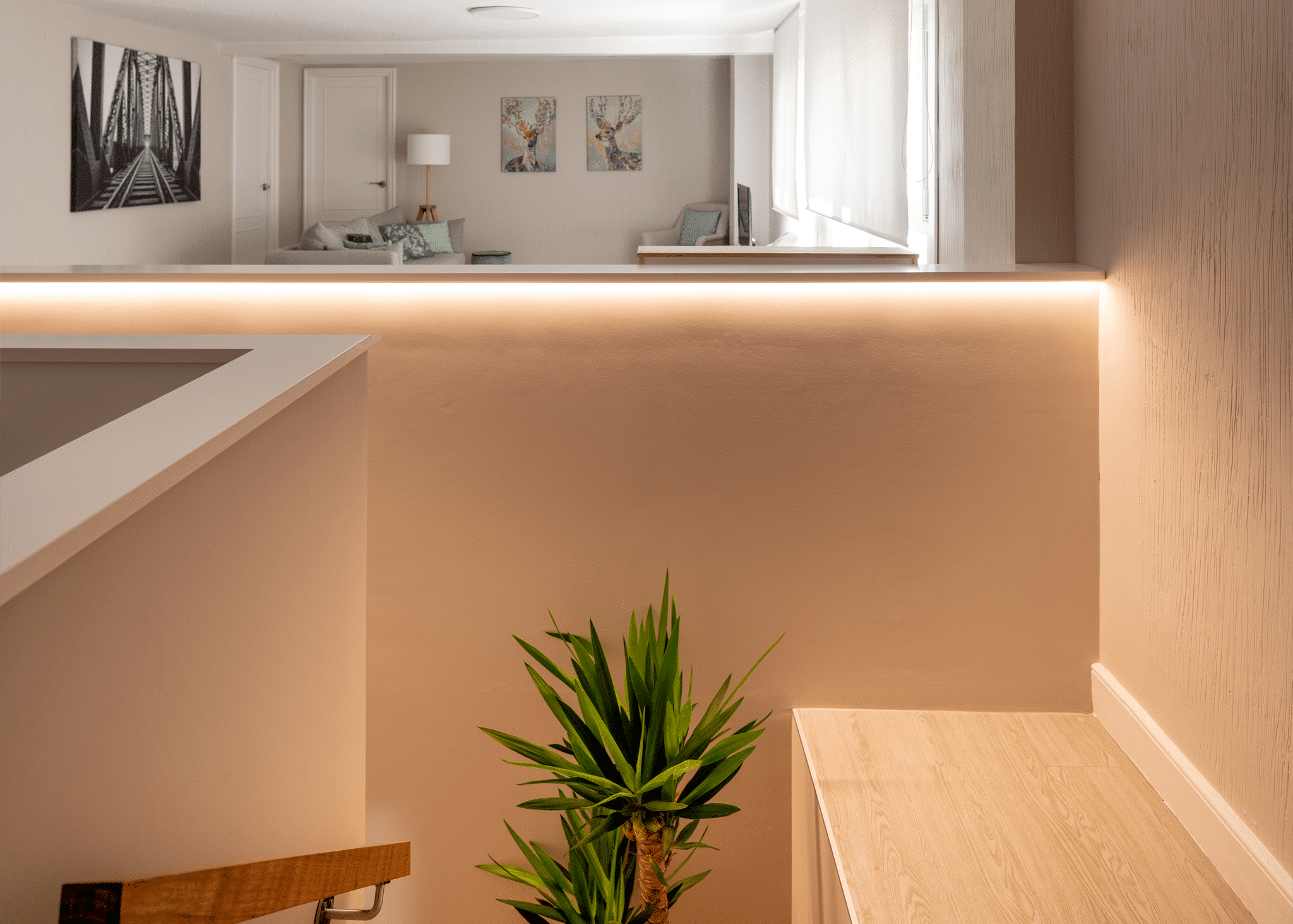 palmera escalera estar abasota algorta getxo interiorismo arkitektura