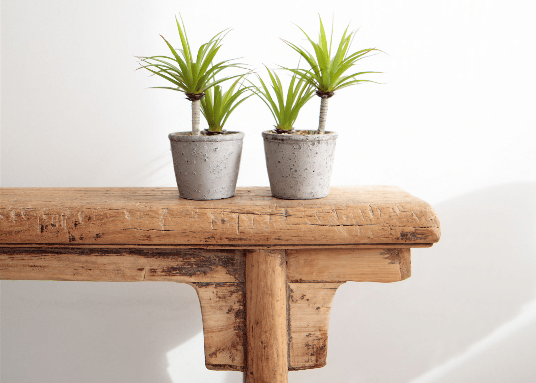 detalle decorativo